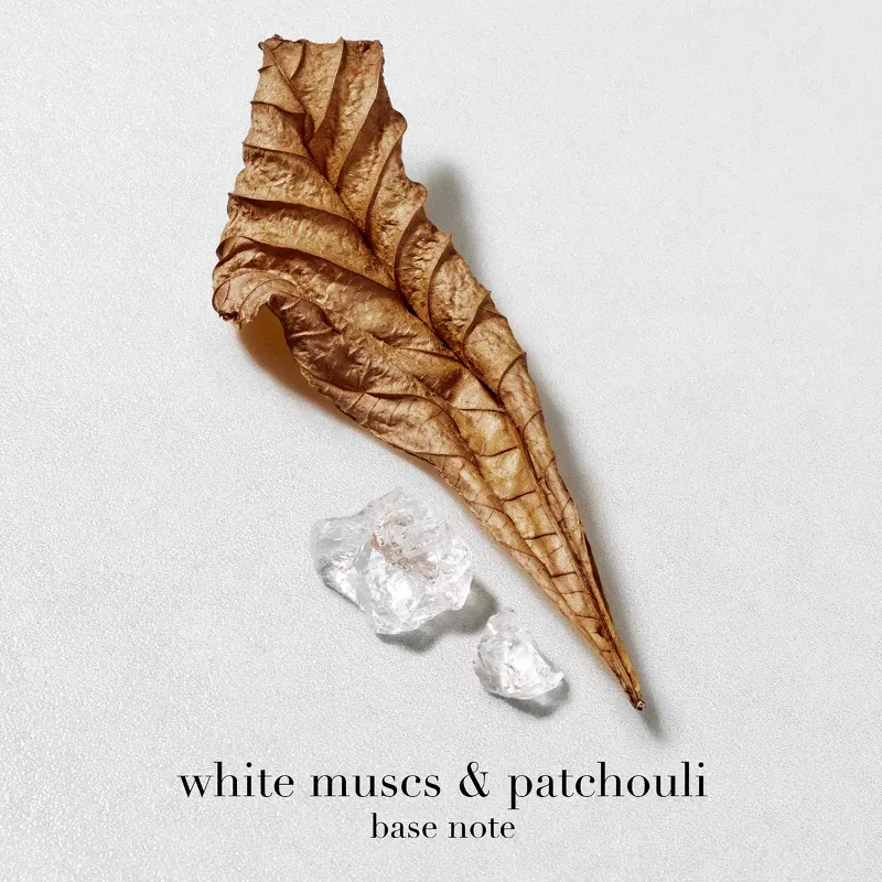 Giorgio Armani Acqua Di Giò Homme EDT 50 Ml - Billede 6