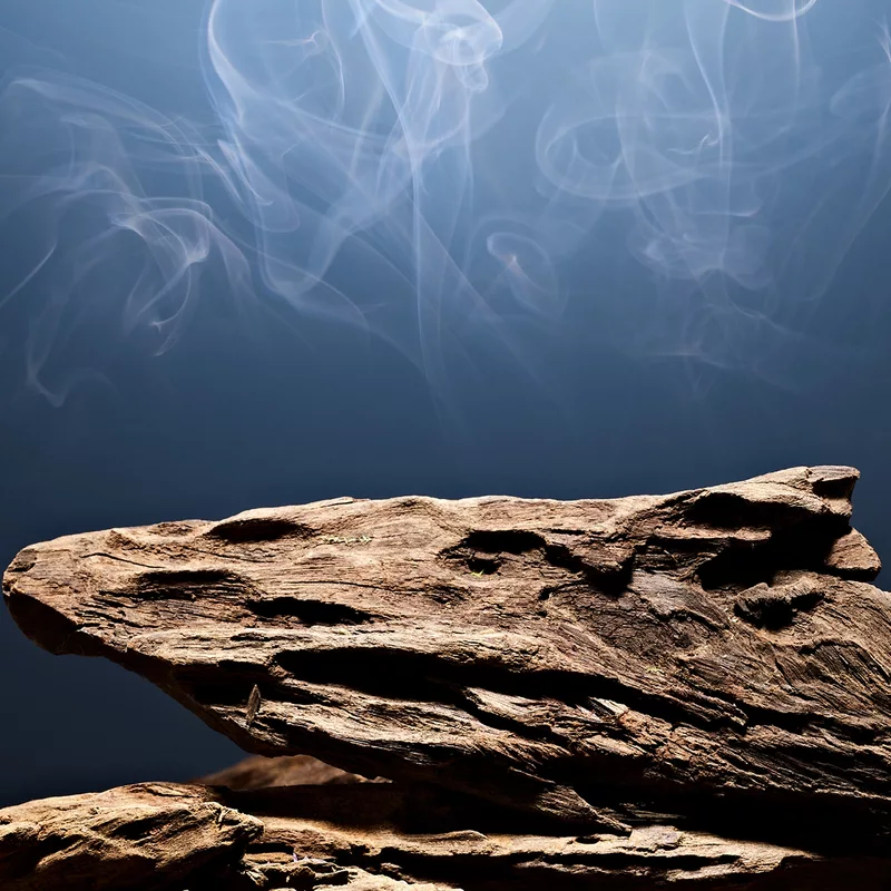 Abercrombie & Fitch Fierce Deo Stick 73 Gr. - Billede 5