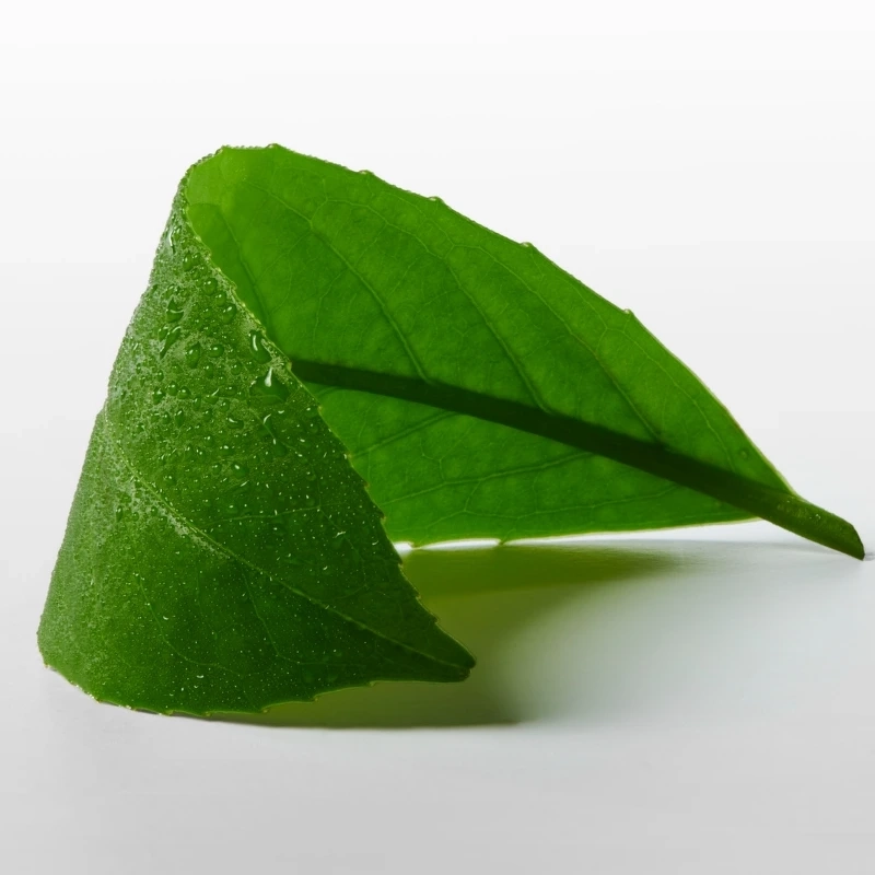 Calvin Klein Ck One Essence EDP 50 Ml - Billede 5