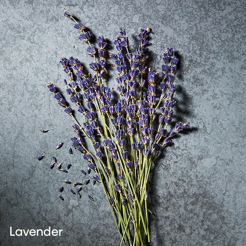 Calvin Klein Defy Parfum 50 Ml - Billede 7