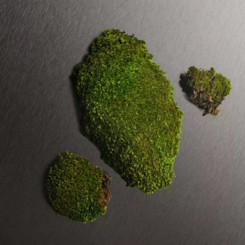 Calvin Klein Eternity Men After Shave 100 Ml - Billede 5