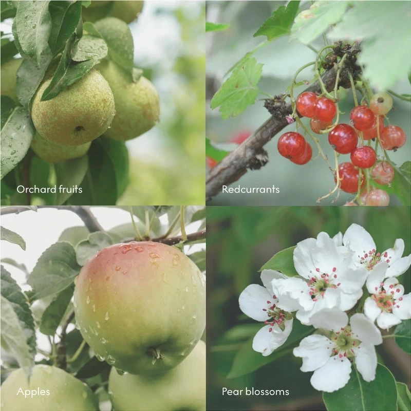 SKANDINAVISK FJORD Scent Diffuser Refill 200 Ml - Billede 3