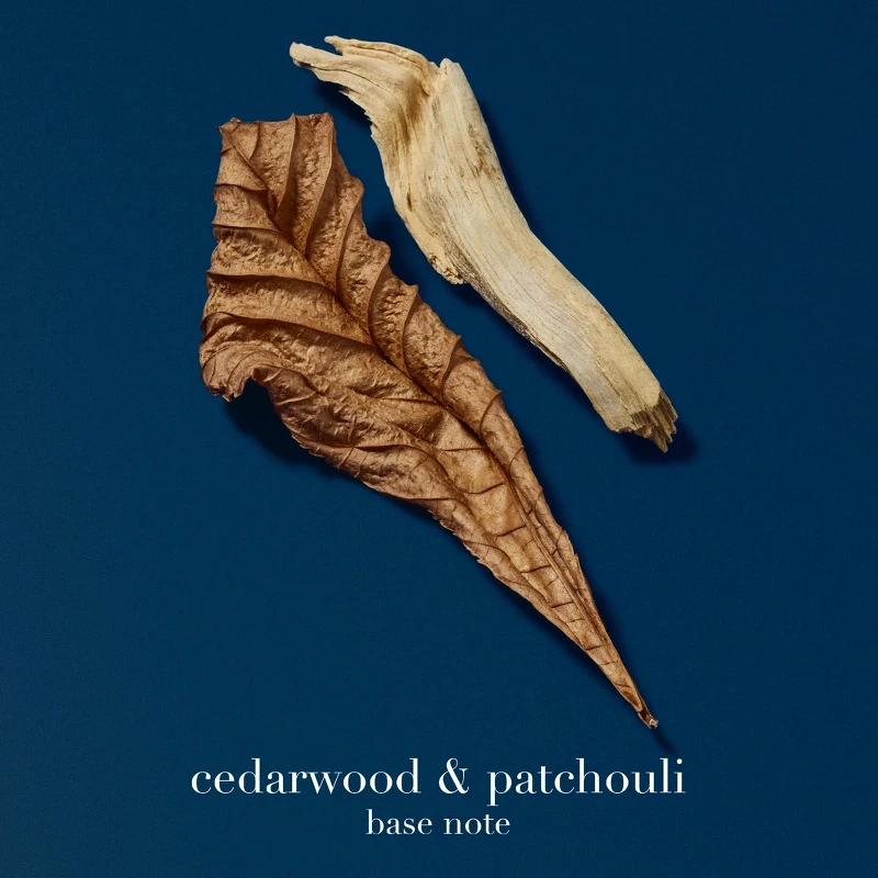 Giorgio Armani Acqua Di Giò Profondo EDP Refill 150 Ml - Billede 7