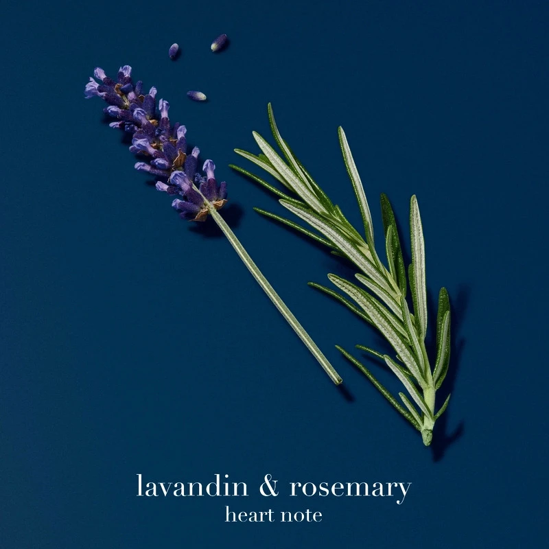 Giorgio Armani Acqua Di Giò Profondo EDP Refill 150 Ml - Billede 6