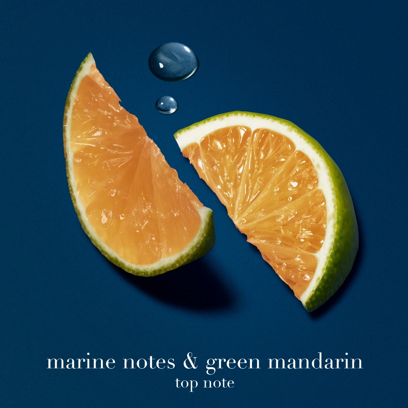 Giorgio Armani Acqua Di Giò Profondo EDP Refill 150 Ml - Billede 5