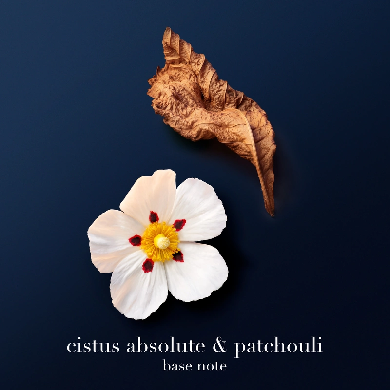 Giorgio Armani Acqua Di Giò Profondo Parfum 100 Ml - Billede 6