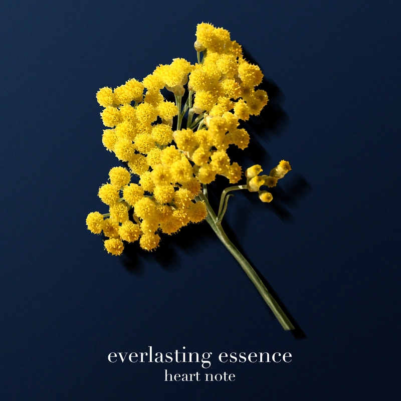 Giorgio Armani Acqua Di Giò Profondo Parfum 100 Ml - Billede 7