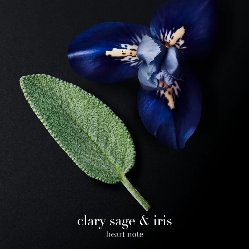 Giorgio Armani Code Le Parfum Refill 150 Ml - Billede 6