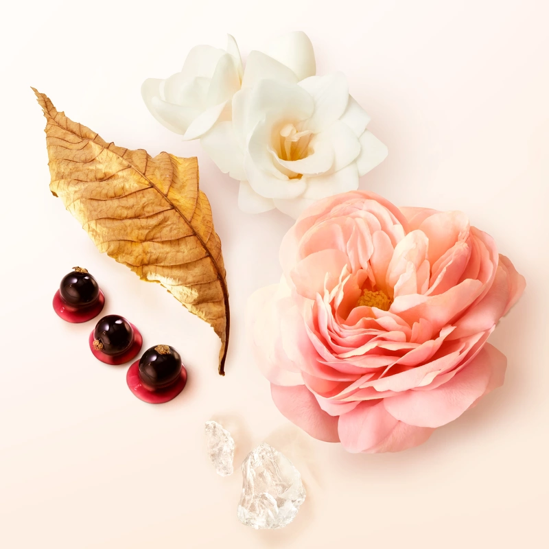 Giorgio Armani Sì Women Refill EDP 100 Ml - Billede 7