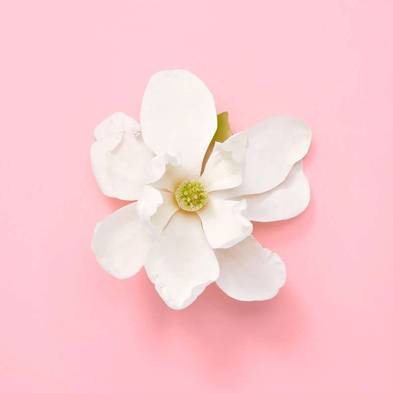 Gucci Flora Gorgeous Jasmine EDP 30 Ml - Billede 6