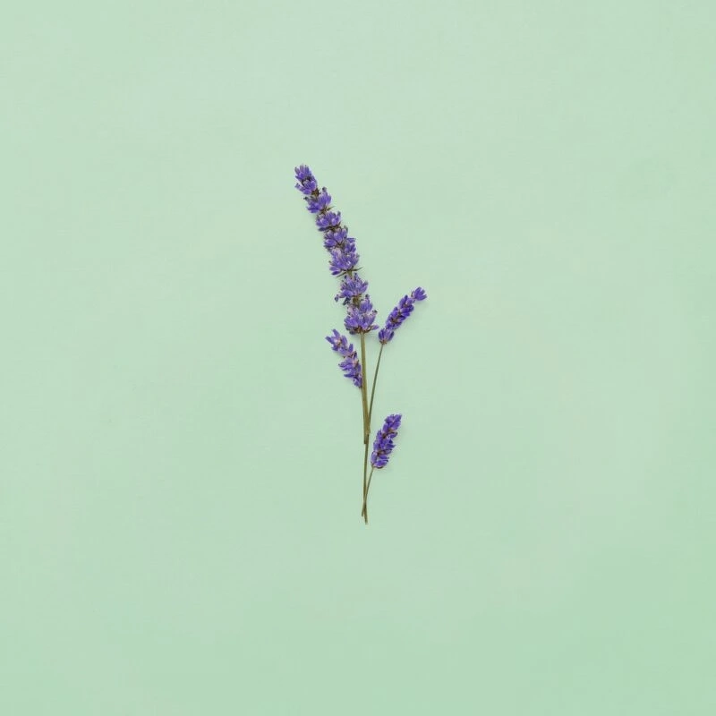 Gucci Guilty Pour Homme EDT 90 Ml - Billede 7