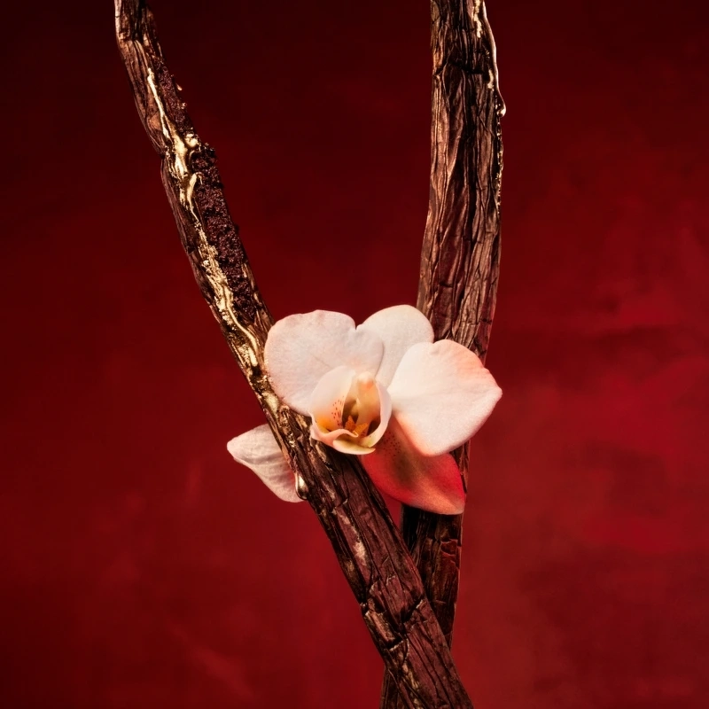 Hugo Boss Alive Absolu EDP 30 Ml - Billede 4