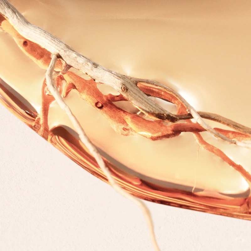 Hugo Boss Alive Intense For Women EDP 50 Ml - Billede 5