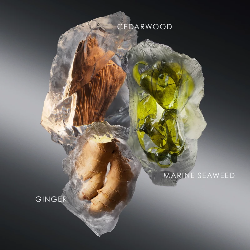 Issey Miyake Le Sel D'Issey EDT 50 Ml - Billede 8