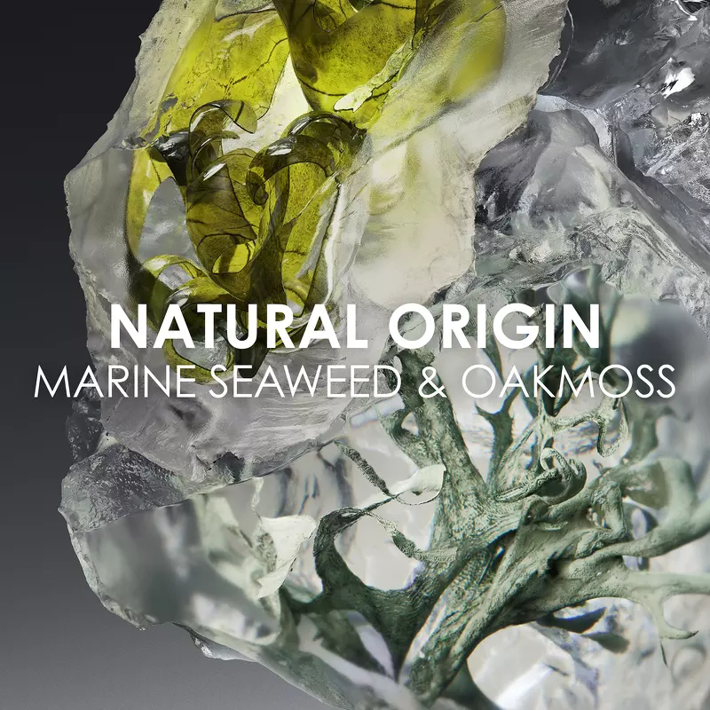 Issey Miyake Le Sel D'Issey EDT 50 Ml - Billede 5