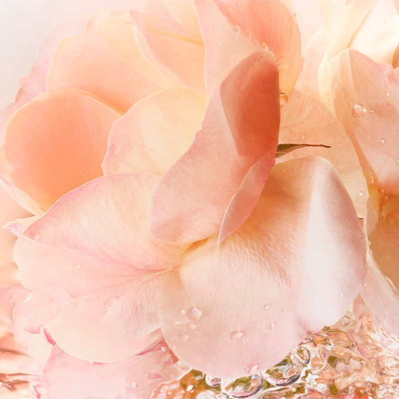 Lancome Lancôme Idôle 24 EDT 25 Ml - Billede 6