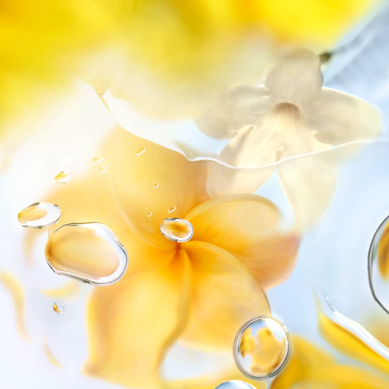 Lancome Lancôme Les Ô Zenith EDT 100 Ml - Billede 5