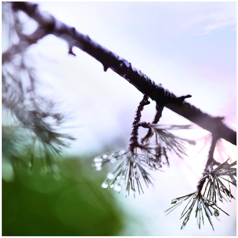 Maison Margiela Replica When The Rain Stops EDT 100 Ml - Billede 5