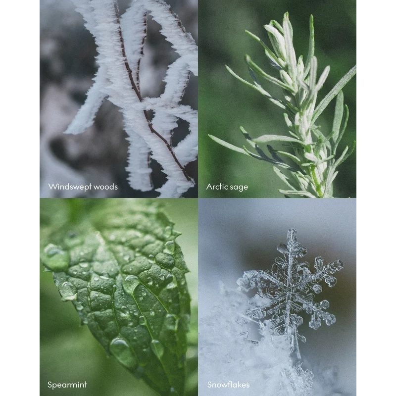 SKANDINAVISK ARKTIS Scent Diffuser Refill 200 Ml - Billede 2