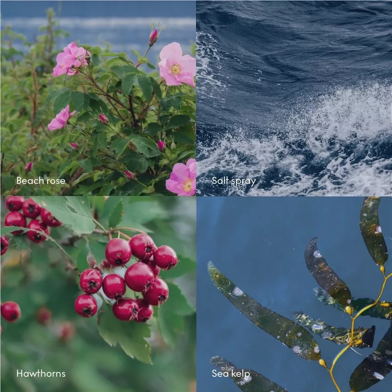 SKANDINAVISK ESCAPE Candle Giftset 3 X 65 Gr. - Billede 8