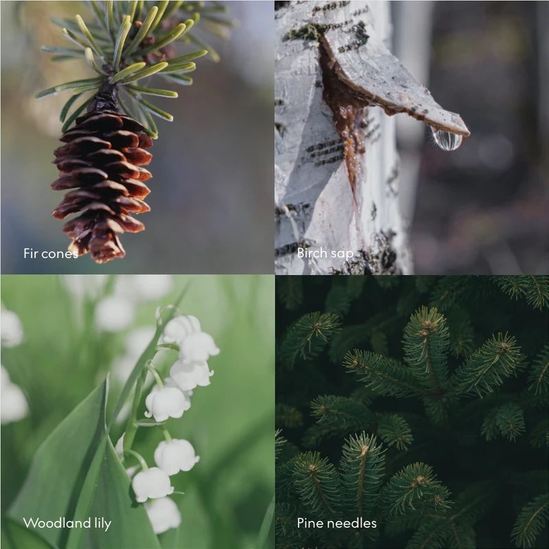 SKANDINAVISK SKOG Scent Diffuser 100 Ml - Billede 3