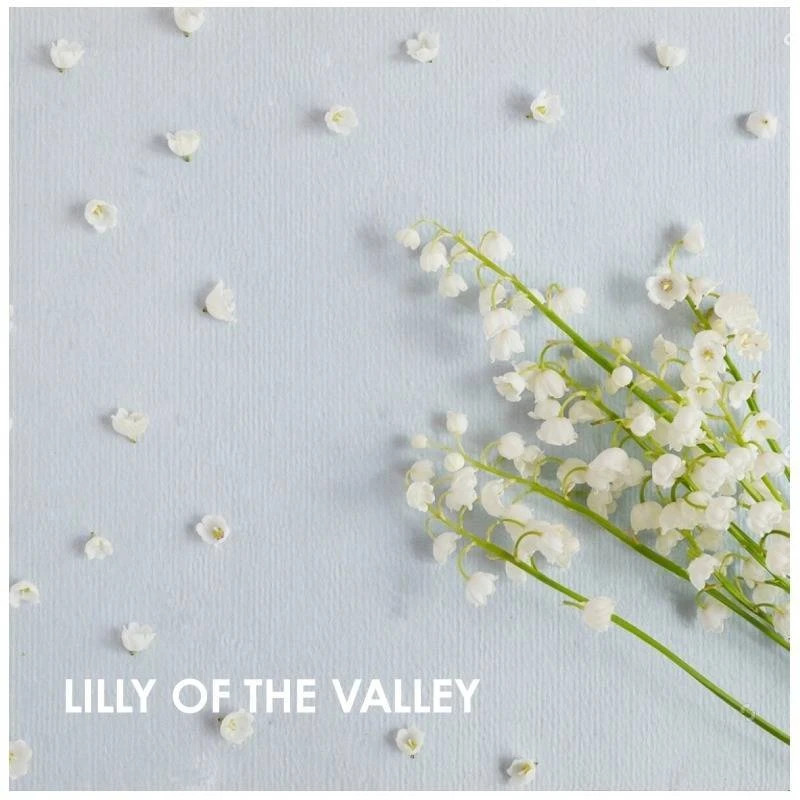 WeDo Professional Spread Happiness 100 Ml - Billede 6