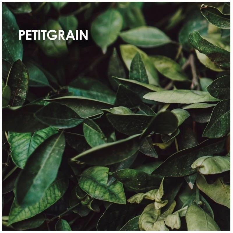 WeDo Professional Spread Happiness 100 Ml - Billede 7